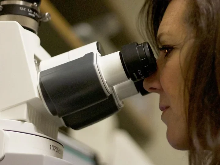 Melissa Spencer looking into a microscrope.