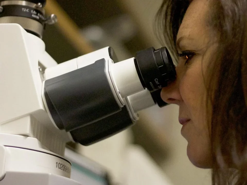 Melissa Spencer looking into a microscrope.