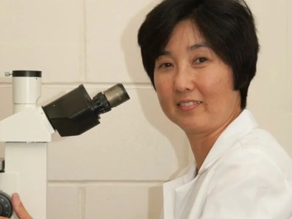 Chino Kumagai Cresse