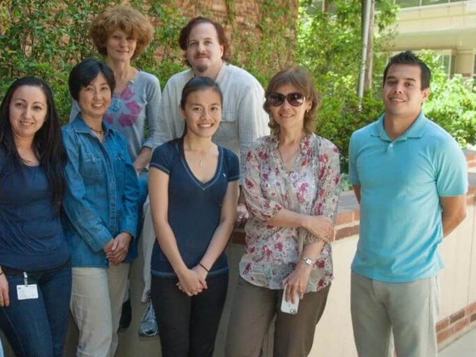  2015 lab