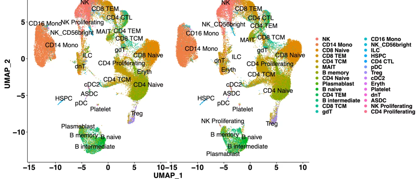 Single cell sequencing UMAP plot of peripheral blood mononuclear cells isolated from Duchenne muscular dystrophy subjects prior to (pre) and after (post) administration of an AAV-based gene therapy